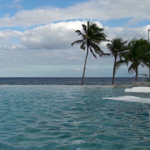 Meet your Posher, Jose - Picture 1 of 1